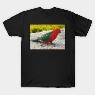 Australian King Parrot T-Shirt